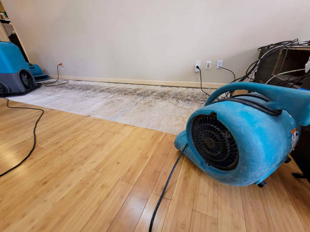 Professional Water Extraction technician working in Foley, MO